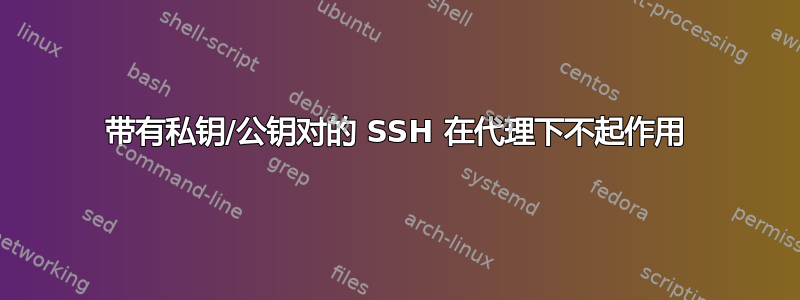 带有私钥/公钥对的 SSH 在代理下不起作用