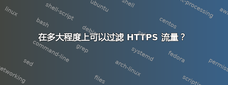 在多大程度上可以过滤 HTTPS 流量？