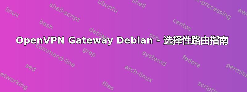 OpenVPN Gateway Debian - 选择性路由指南