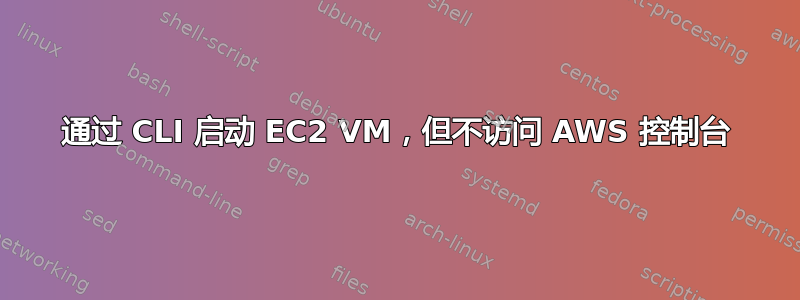 通过 CLI 启动 EC2 VM，但不访问 AWS 控制台