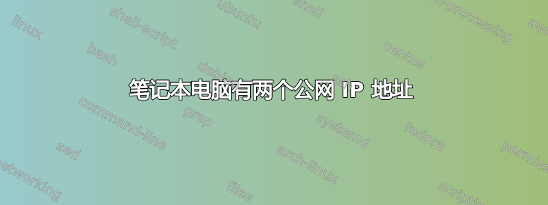 笔记本电脑有两个公网 IP 地址