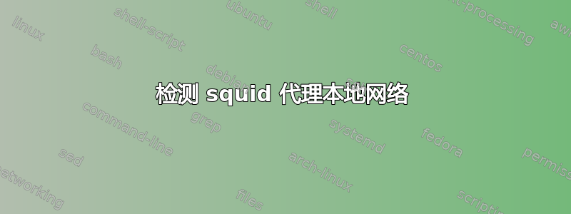 检测 squid 代理本地网络