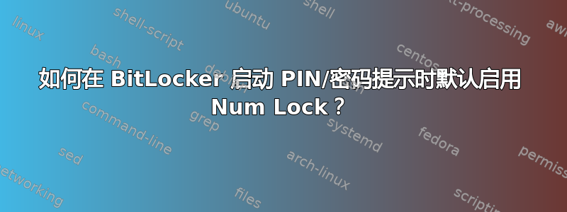 如何在 BitLocker 启动 PIN/密码提示时默认启用 Num Lock？