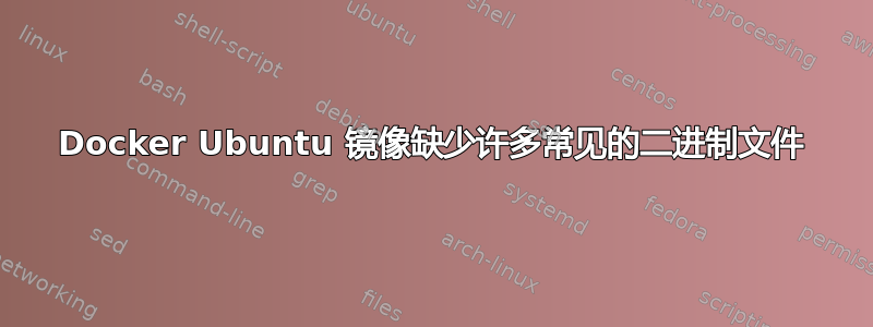 Docker Ubuntu 镜像缺少许多常见的二进制文件