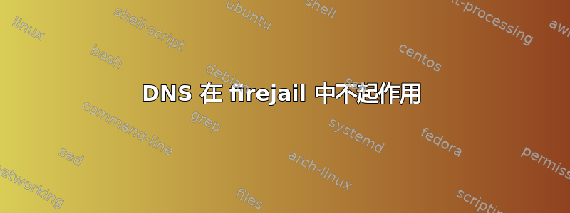 DNS 在 firejail 中不起作用