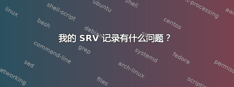 我的 SRV 记录有什么问题？