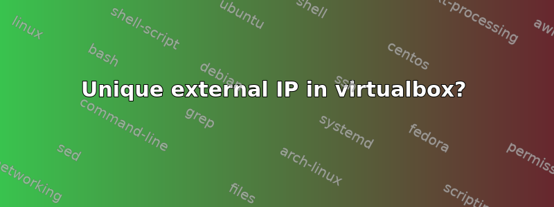 Unique external IP in virtualbox?