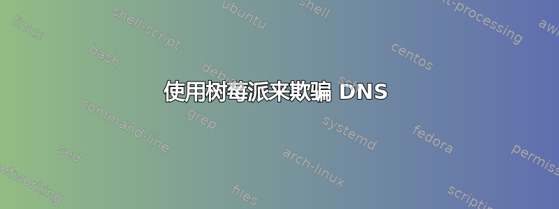 使用树莓派来欺骗 DNS