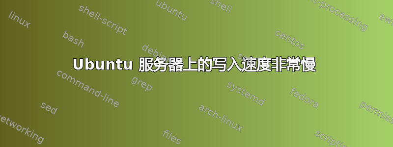 Ubuntu 服务器上的写入速度非常慢