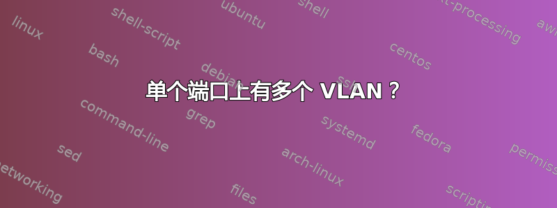 单个端口上有多个 VLAN？