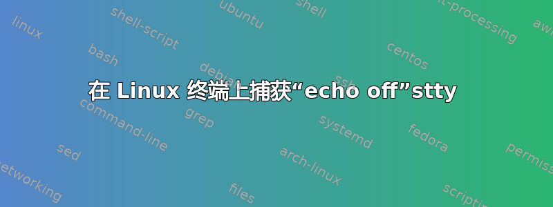 在 Linux 终端上捕获“echo off”stty