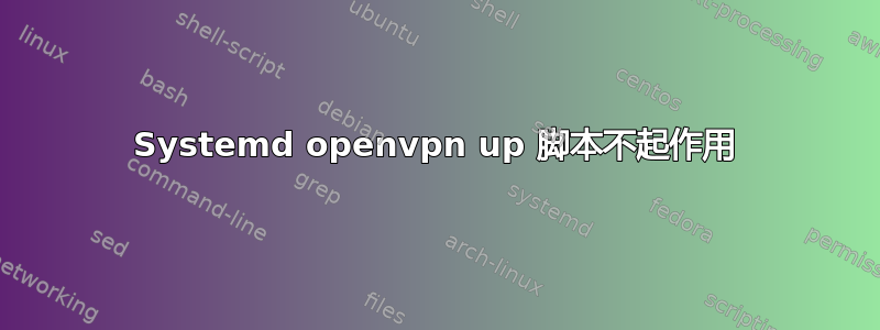 Systemd openvpn up 脚本不起作用