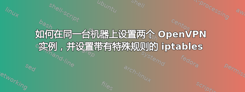 如何在同一台机器上设置两个 OpenVPN 实例，并设置带有特殊规则的 iptables