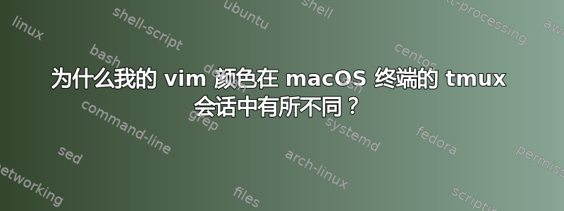 为什么我的 vim 颜色在 macOS 终端的 tmux 会话中有所不同？