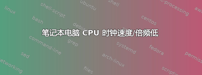 笔记本电脑 CPU 时钟速度/倍频低