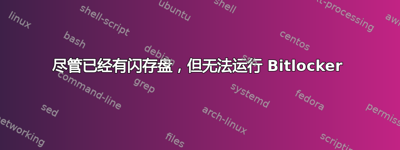 尽管已经有闪存盘，但无法运行 Bitlocker