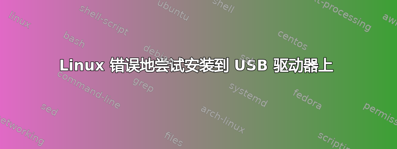 Linux 错误地尝试安装到 USB 驱动器上