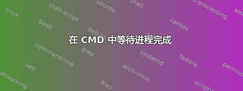 在 CMD 中等待进程完成