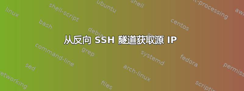 从反向 SSH 隧道获取源 IP