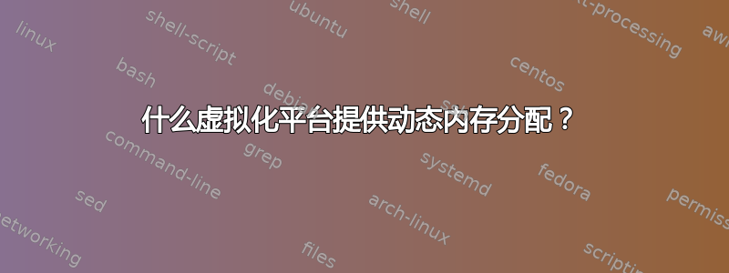 什么虚拟化平台提供动态内存分配？