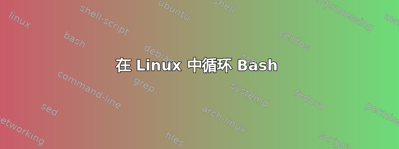 在 Linux 中循环 Bash