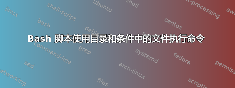 Bash 脚本使用目录和条件中的文件执行命令