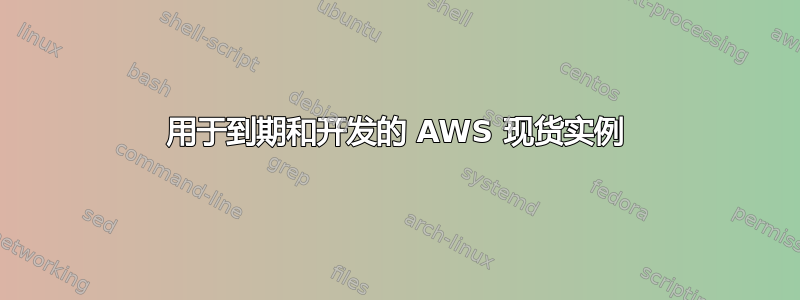 用于到期和开发的 AWS 现货实例