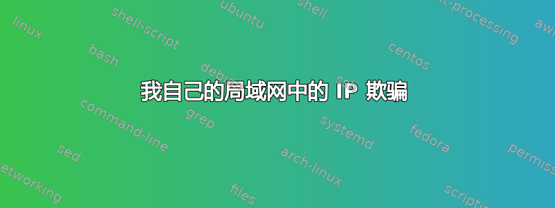 我自己的局域网中的 IP 欺骗