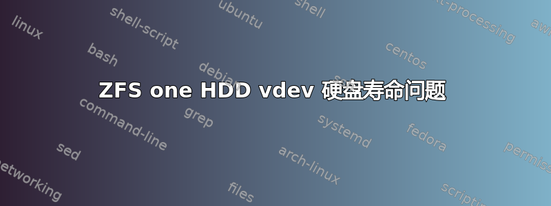 ZFS one HDD vdev 硬盘寿命问题