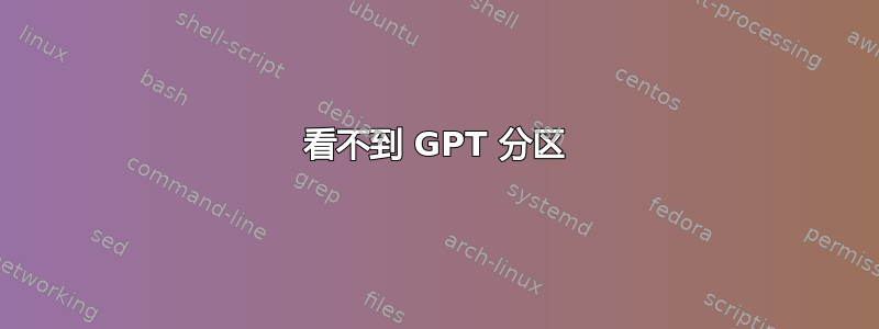 看不到 GPT 分区