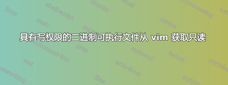 具有写权限的二进制可执行文件从 vim 获取只读