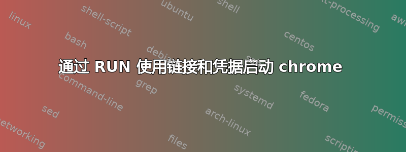 通过 RUN 使用链接和凭据启动 chrome