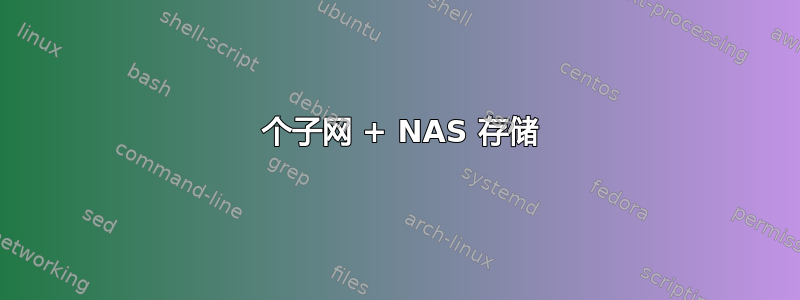 2 个子网 + NAS 存储