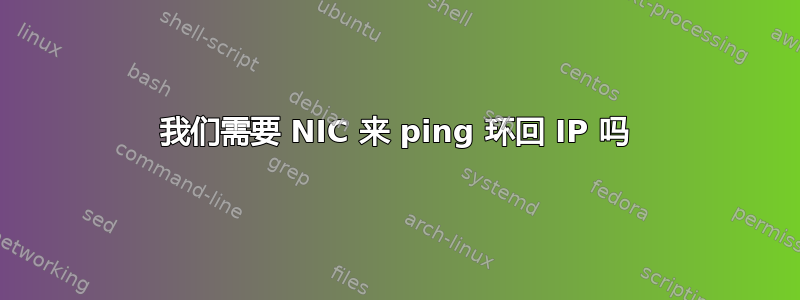 我们需要 NIC 来 ping 环回 IP 吗