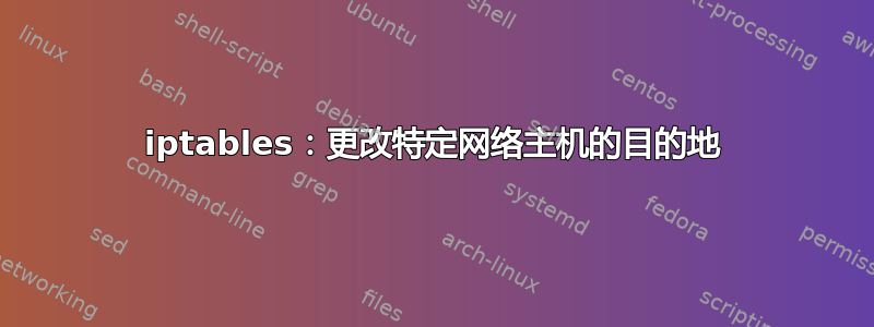 iptables：更改特定网络主机的目的地