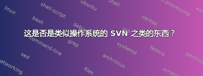 这是否是类似操作系统的 SVN 之类的东西？