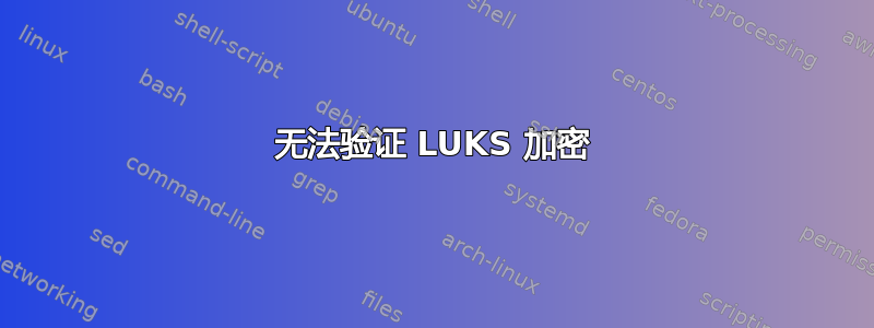 无法验证 LUKS 加密