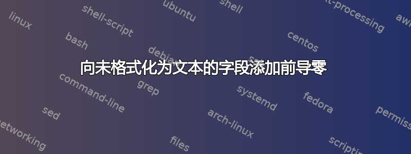 向未格式化为文本的字段添加前导零