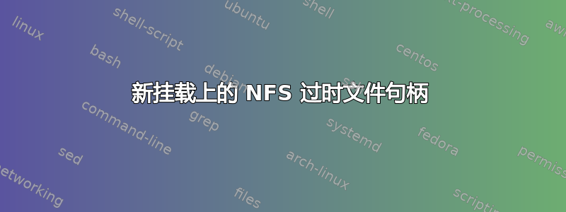 新挂载上的 NFS 过时文件句柄