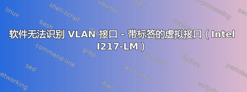 软件无法识别 VLAN 接口 - 带标签的虚拟接口（Intel I217-LM）