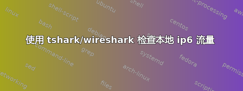 使用 tshark/wireshark 检查本地 ip6 流量