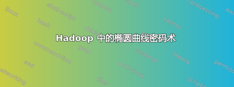 Hadoop 中的椭圆曲线密码术