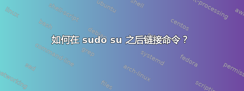 如何在 sudo su 之后链接命令？