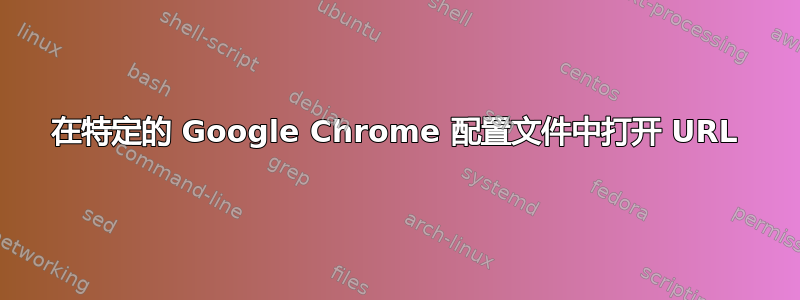 在特定的 Google Chrome 配置文件中打开 URL