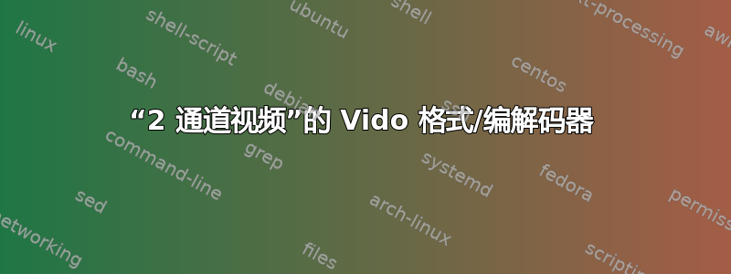 “2 通道视频”的 Vido 格式/编解码器