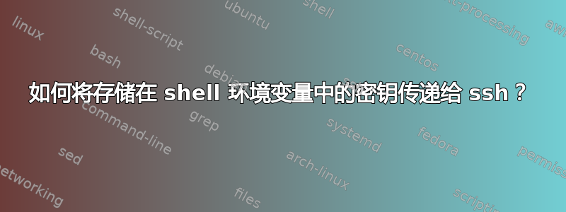 如何将存储在 shell 环境变量中的密钥传递给 ssh？