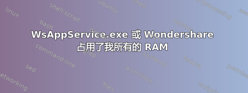 WsAppService.exe 或 Wondershare 占用了我所有的 RAM