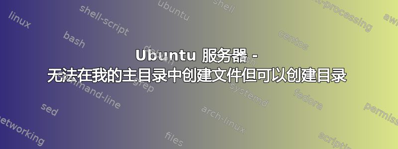 Ubuntu 服务器 - 无法在我的主目录中创建文件但可以创建目录