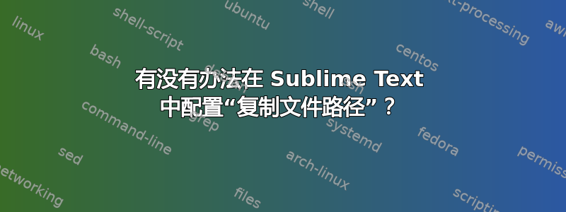 有没有办法在 Sublime Text 中配置“复制文件路径”？