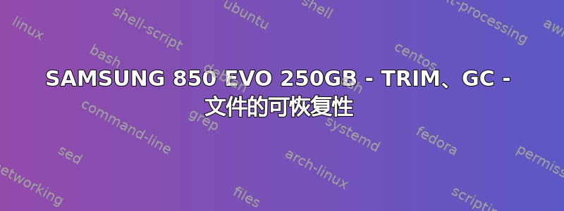 SAMSUNG 850 EVO 250GB - TRIM、GC - 文件的可恢复性